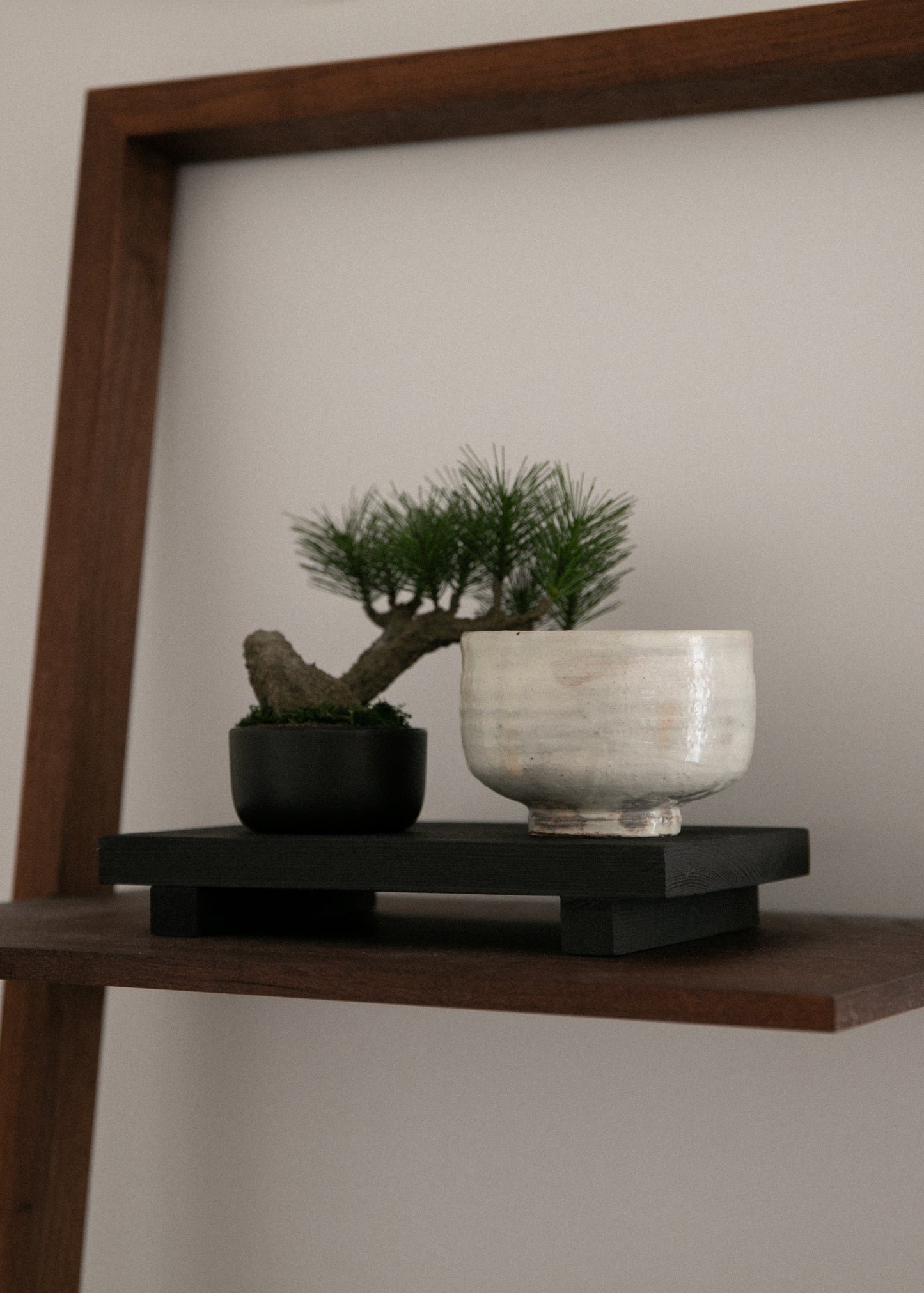 Zen tray
